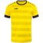 Afbeeldingen van Shirt Celtic Melange KM citroen